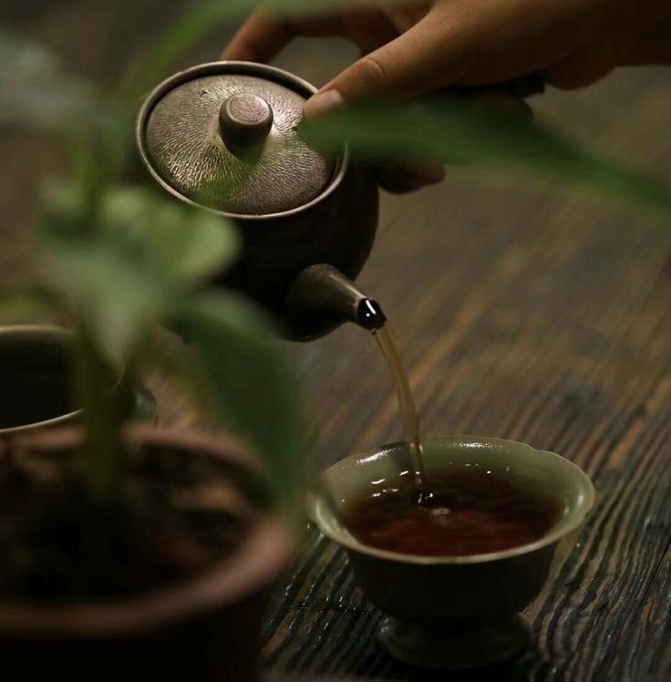 Himalayan Tea Plantation