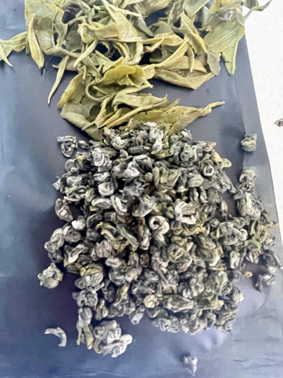 Sencha